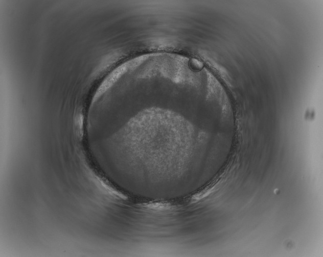 X0000097600067200803141925