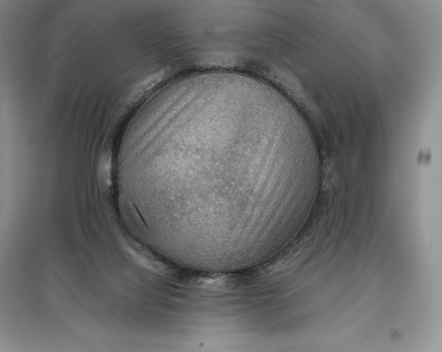 X0000097600068200803141925