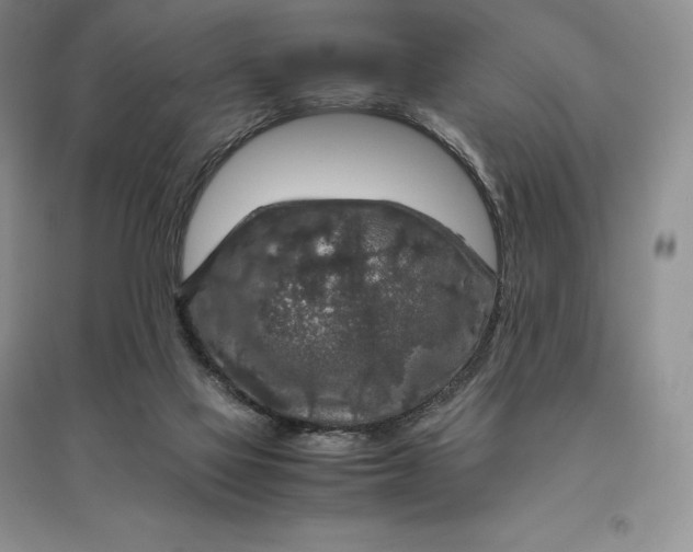 X0000097600069200803141925