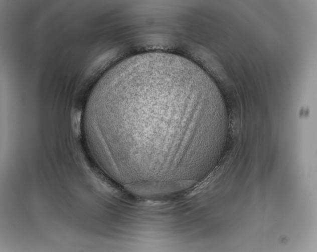 X0000097600070200803141926