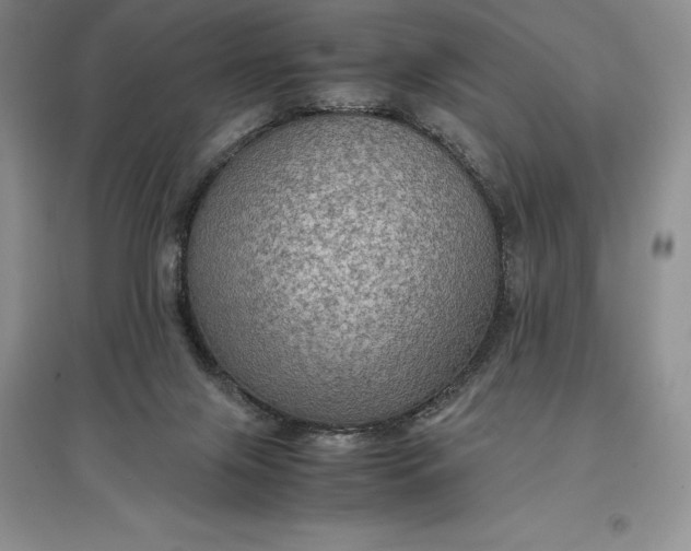 X0000097600071200803141926