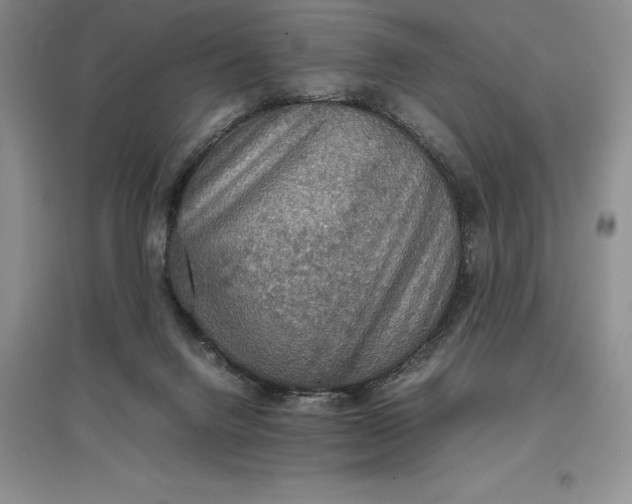 X0000097600072200803141926