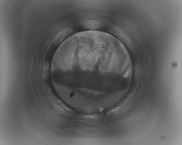 X0000097600073200803141926