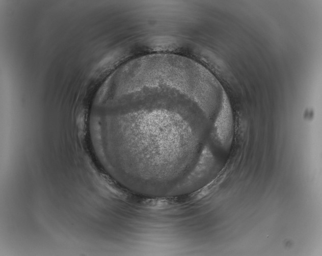 X0000097600074200803141926