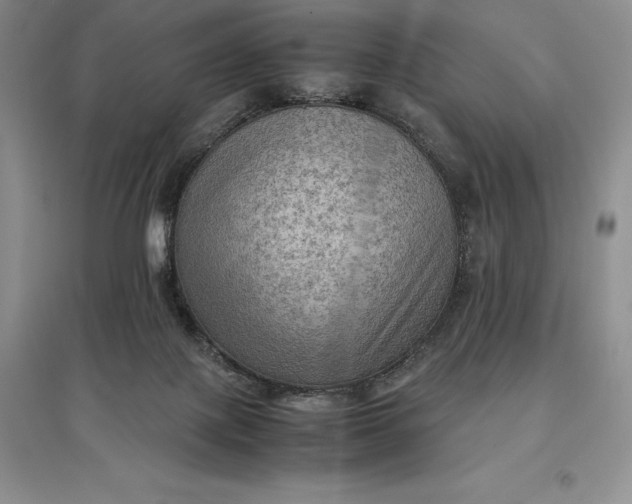 X0000097600075200803141926