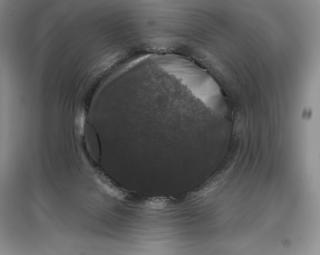 X0000097600076200803141926