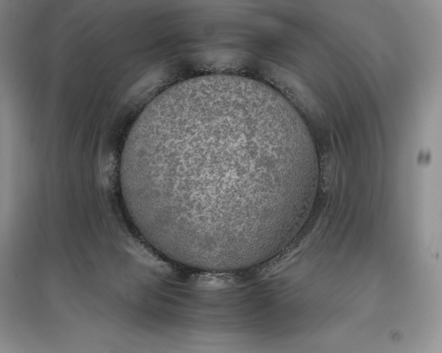 X0000097600077200803141926