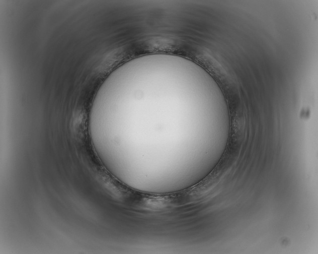 X0000097600079200803141926