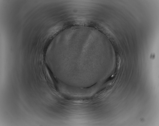X0000097600080200803141926