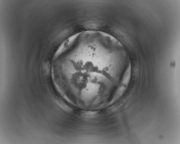 X0000097600081200803141926