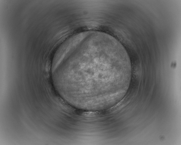 X0000097600082200803141926