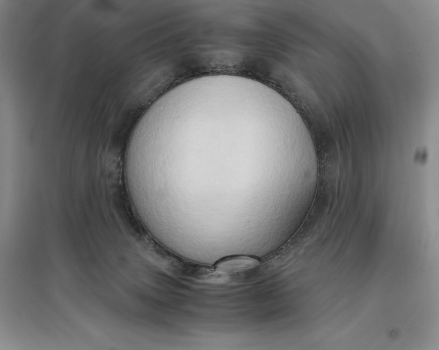 X0000097600083200803141926