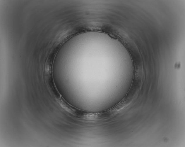 X0000097600084200803141926