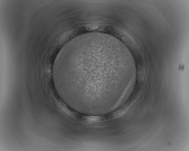 X0000097600085200803141926