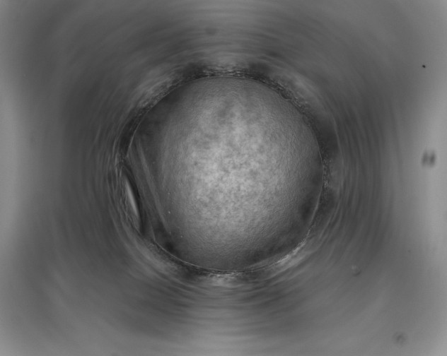 X0000097600086200803141926