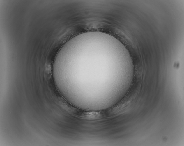 X0000097600087200803141926