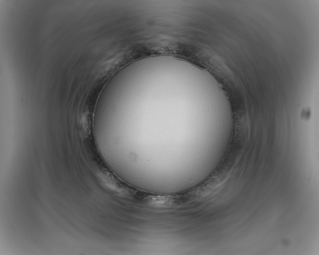 X0000097600088200803141926