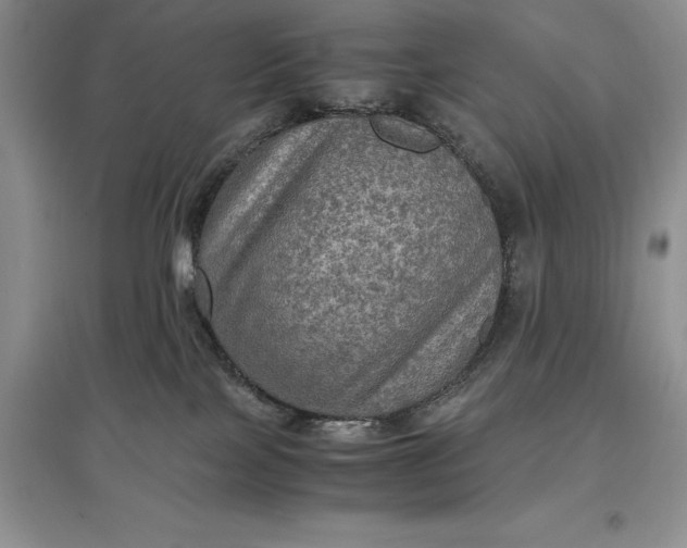 X0000097600089200803141926