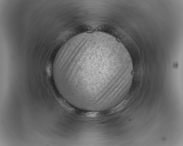 X0000097600090200803141926