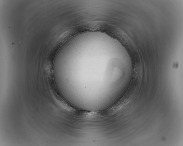 X0000097600092200803141926