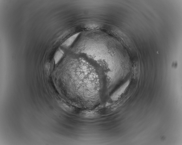 X0000097600093200803141926