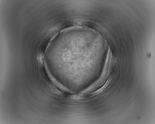 X0000097600094200803141926