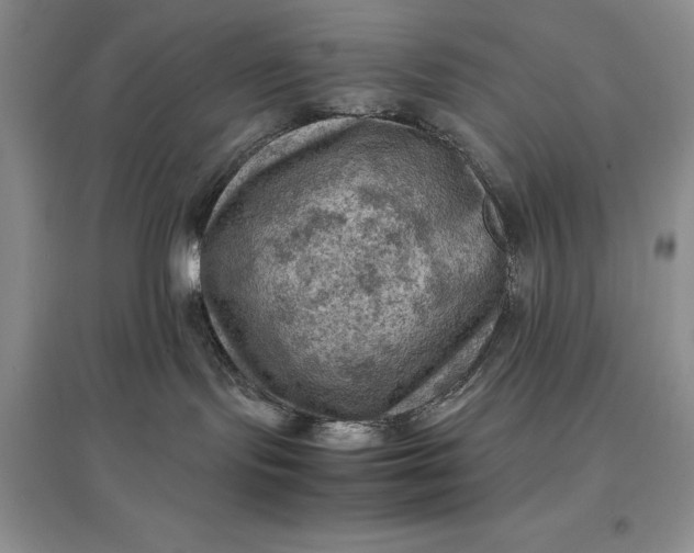 X0000097600095200803141926
