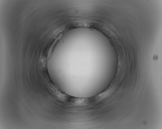 X0000097600096200803141926