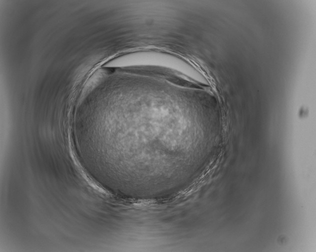 X0000097600097200803141925