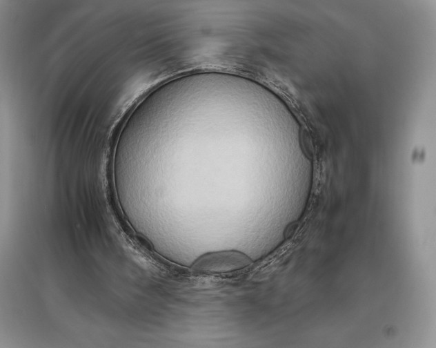X0000097600098200803141925