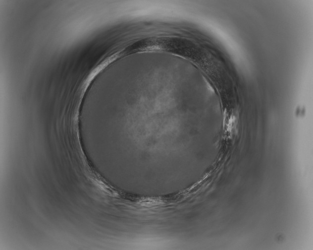 X0000097600099200803141925
