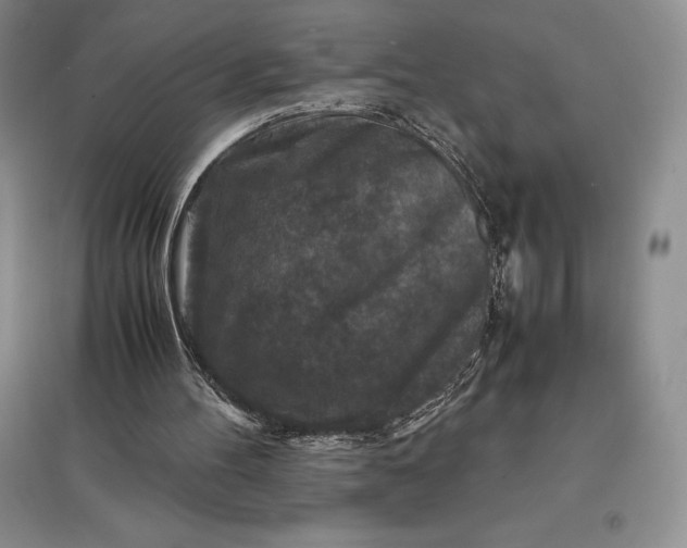 X0000097600100200803141925