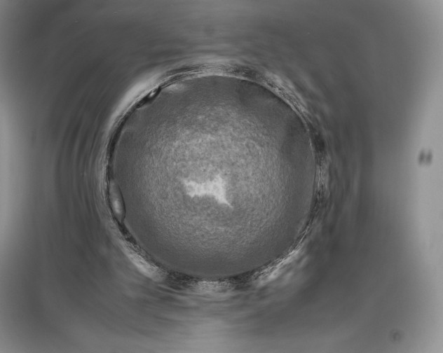 X0000097600101200803141925