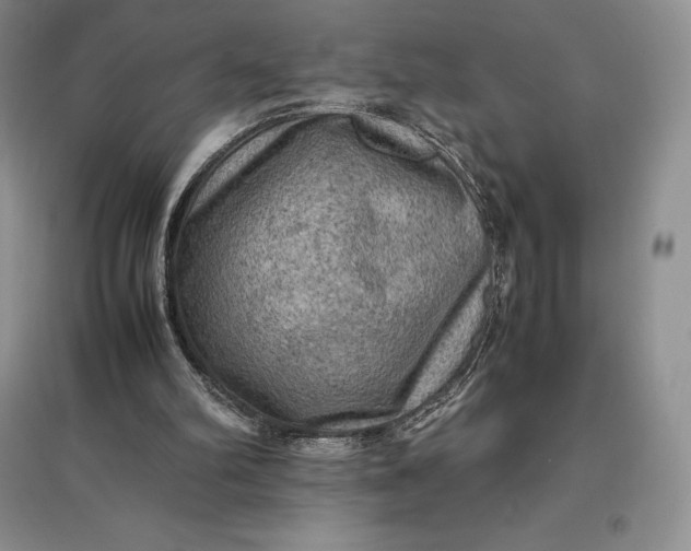 X0000097600102200803141925