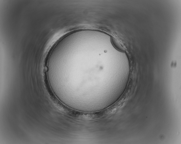 X0000097600103200803141925