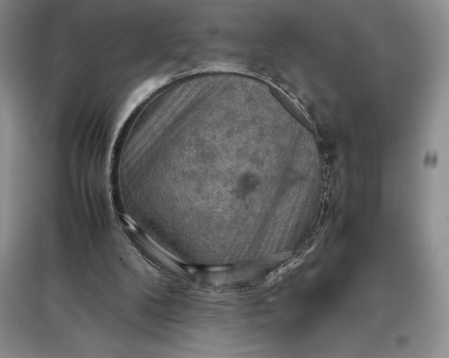 X0000097600104200803141925