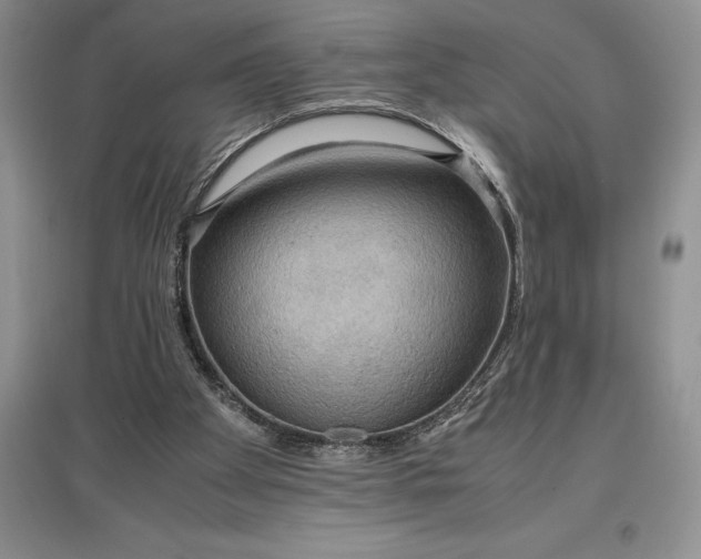 X0000097600105200803141925