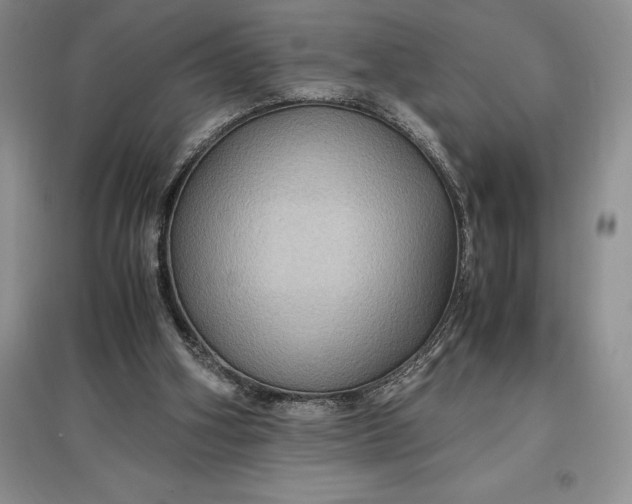 X0000097600106200803141925