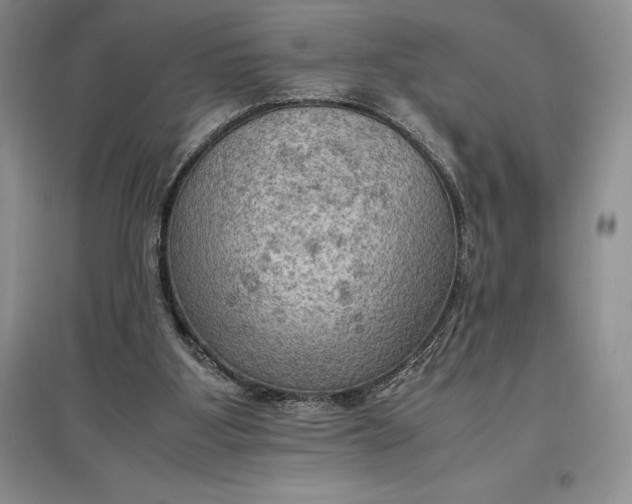 X0000097600107200803141925