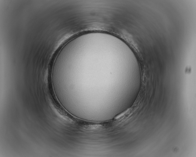 X0000097600108200803141925