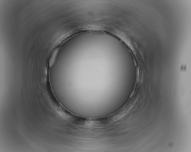 X0000097600109200803141925