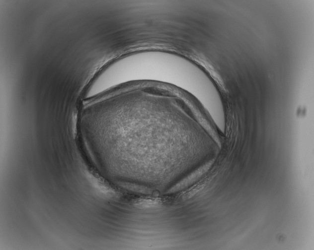 X0000097600110200803141925