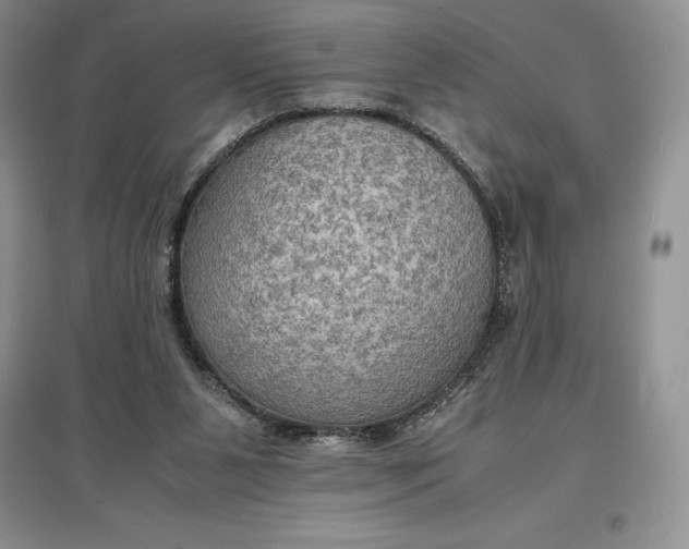X0000097600111200803141925