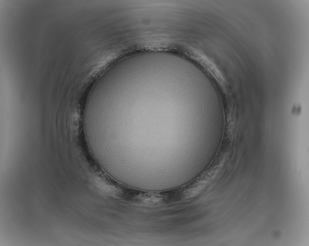 X0000097600113200803141925