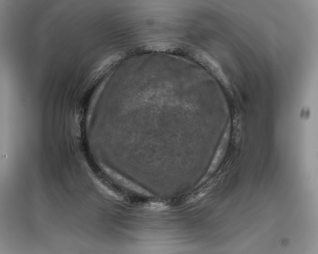 X0000097600114200803141925