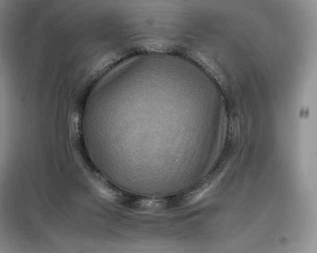 X0000097600117200803141925