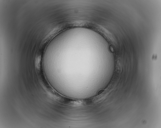 X0000097600118200803141925