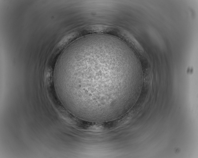 X0000097600119200803141925