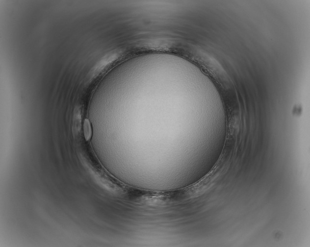 X0000097600120200803141925