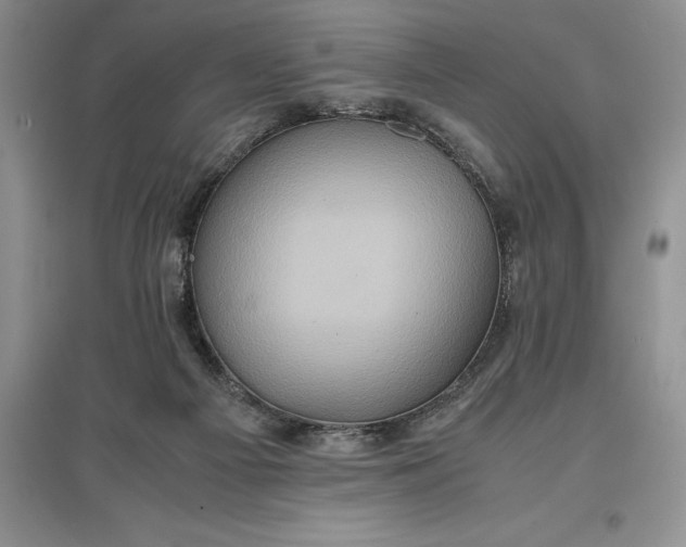 X0000097600121200803141925